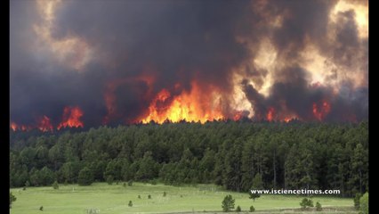 Western Rut Report: How Wildfires Affect Deer Hunting