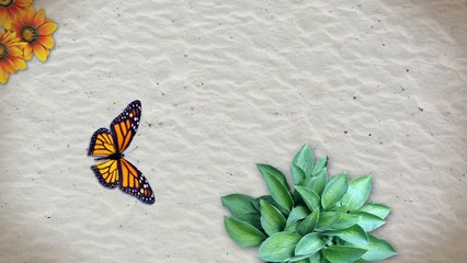 Relationship between nature and human beings