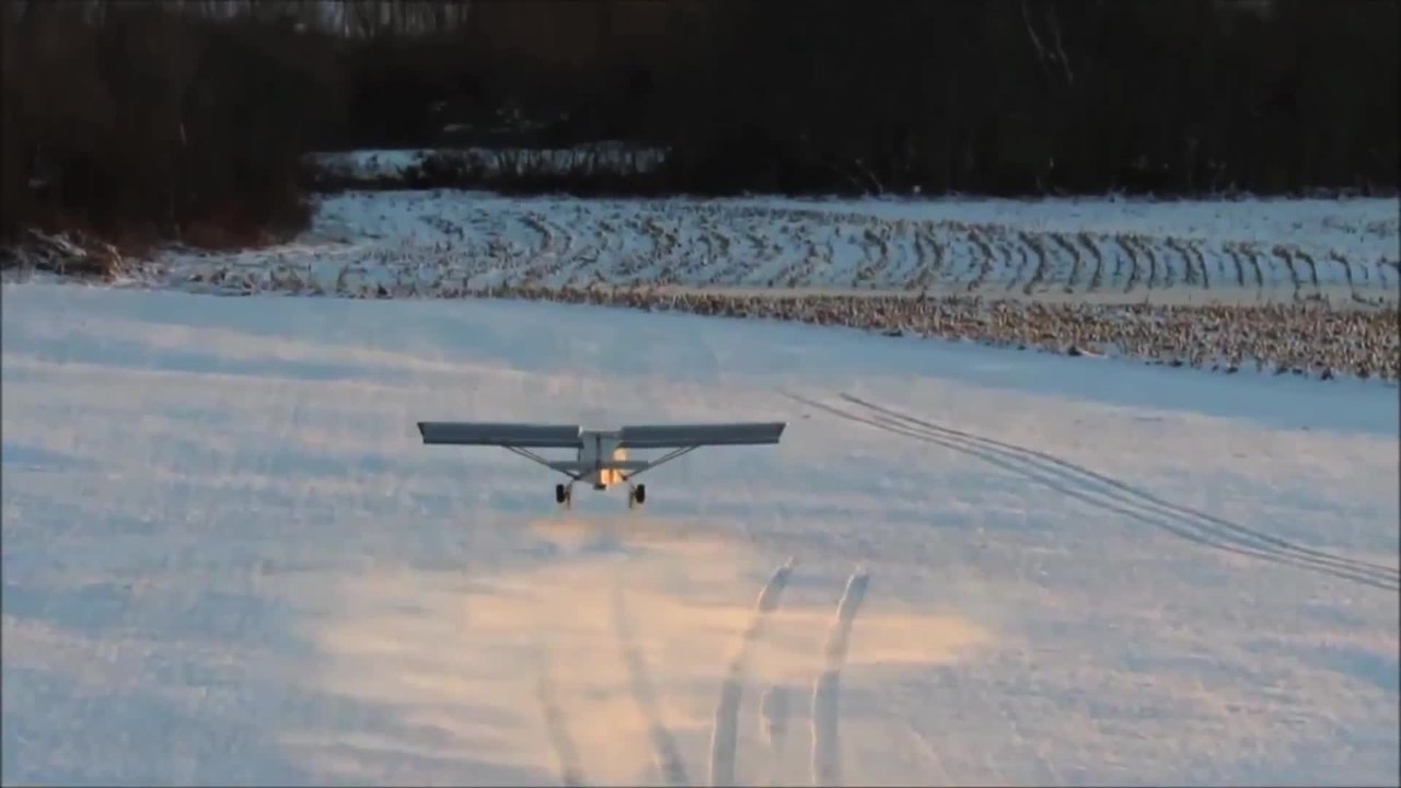 Flying Is Having Fun in the Backyard
