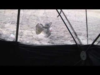 Just Us Hunting - Striving So Hard