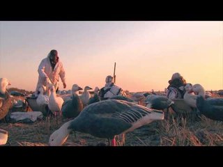 Canada in the Rough  - Waterfowl Whiteout