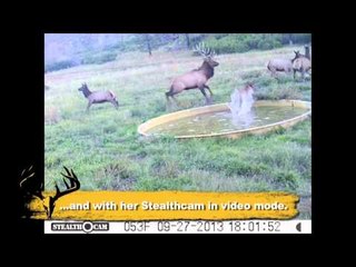 Easton Bowhunting TV - Momma Knows Best