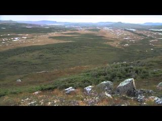 Winchesters Deadly Passion - Woodland Bou Spike Camp