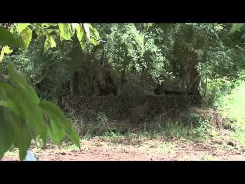 The Gamekeepers of Mossy Oak - The Gamekeepers of Mossy Oak