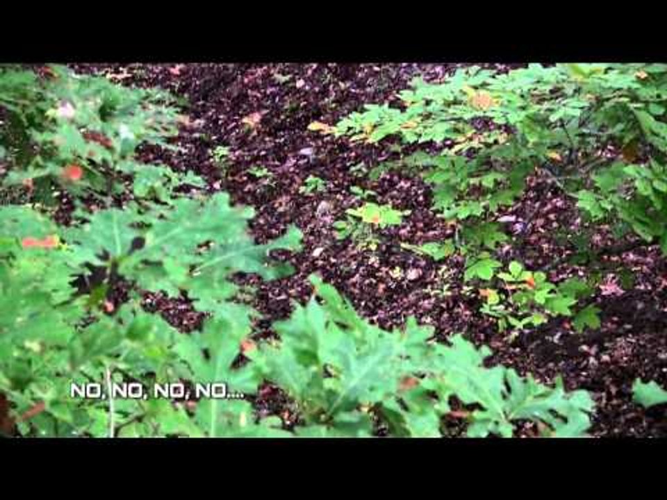The Search - Round 2