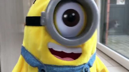 Un cucciolo incontra per la prima volta un minions e a sua reazione è divertentissima
