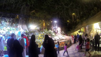 Sharks Dubai Aquarium Underwater Zoo Dubai Mall -HD-