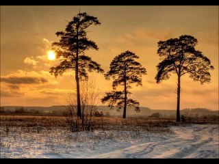 Галина Хомчик три сосны
