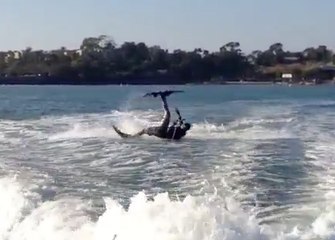 Wipeout Wednesday 2/3