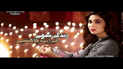 Zindagi Mujhay Tera Pata Chahiye 53