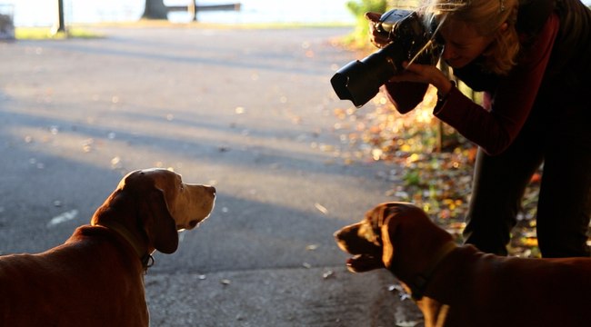 I, Photographer: Diana Haskell's Animal Portraits