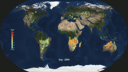 See Every Major Fire That Burned On Earth In The Last 15 Years