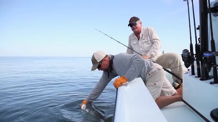 Handling Tarpon Boat-Side