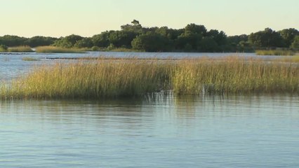 Running Boat on Grass Flats