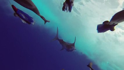 Fishing Adventures Across the Globe