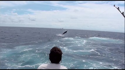 Marlin University 2016