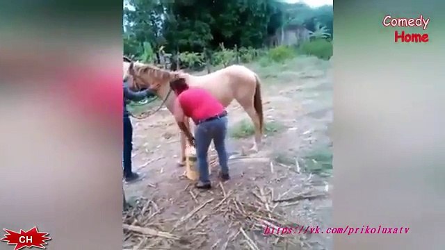 Funny Videos 2016 Funny Fails Compilation 2016 February Ultimate Fails Compilation 2016 COUB 2016 (FULL HD)