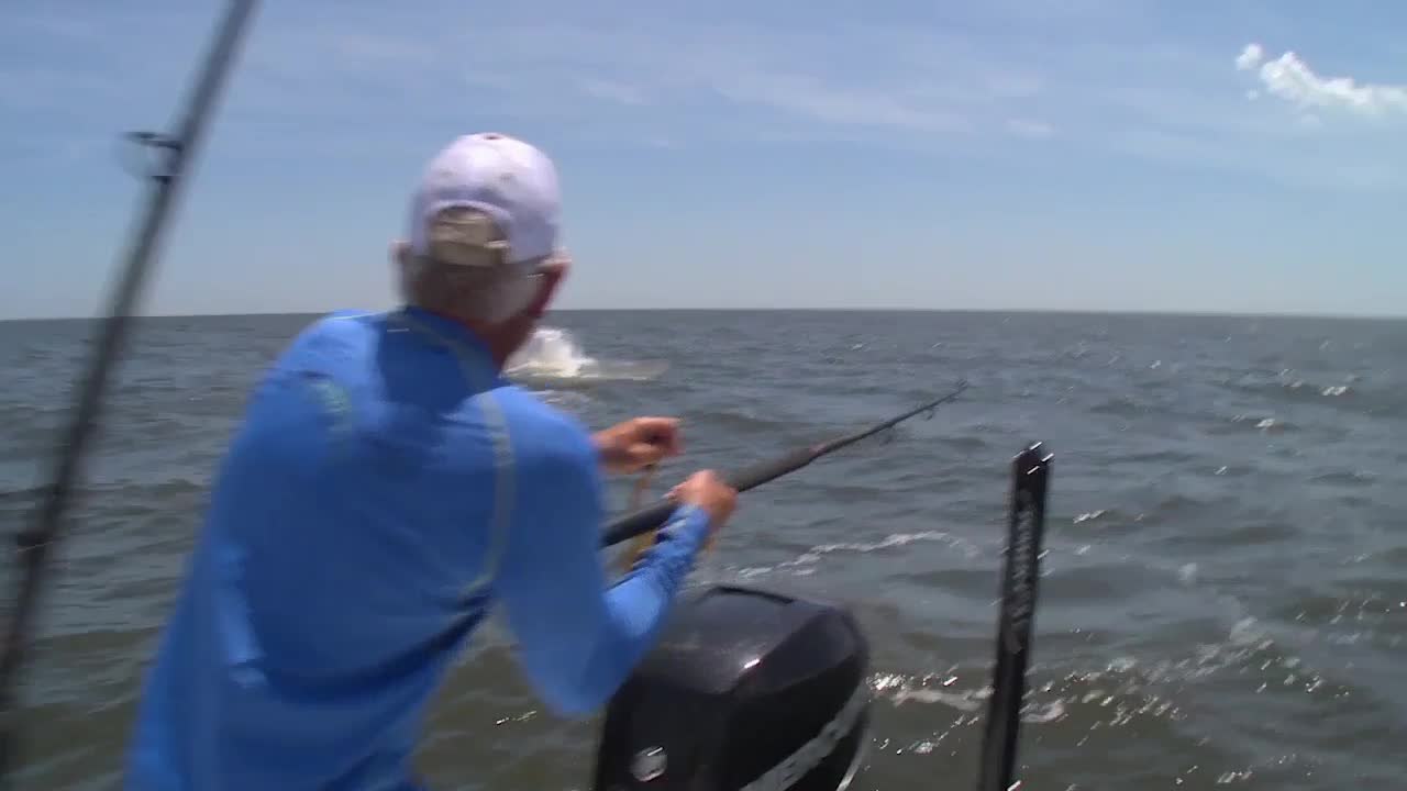 First Tarpon Bite