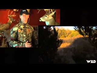 Spook Nation - KansasIowa Whitetails