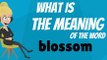 What is BLOSSOM? BLOSSOM meaning - BLOSSOM definition - BLOSSOM dictionary - How to pronounce BLOSSOM