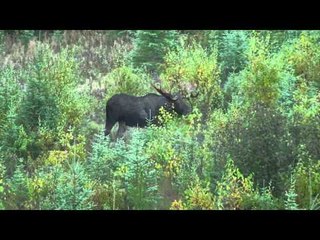 Just Us Hunting - I Wouldnt Miss This For Anything