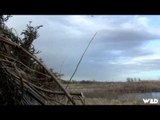 The Fowl Life - Kansas Mallard Hunt