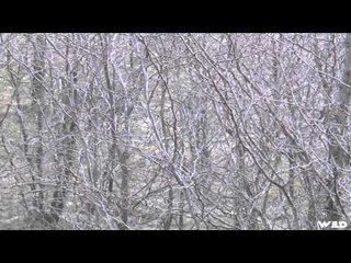 Outdoor Edge Love of the Hunt  - Kansas Whitetail