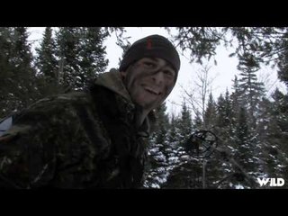 Hardcore Pursuit - Late Season Archery Action