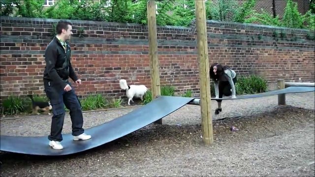 WORLDS FUNNIEST DOG FAILS