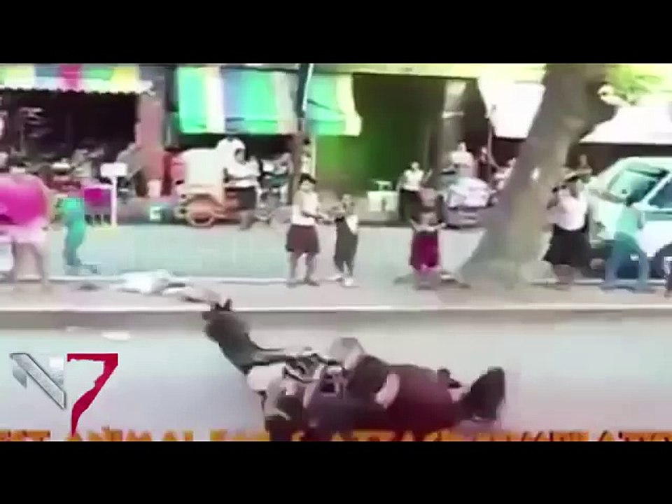 Animals Thug Life 5