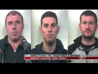 Arrestohen tre shqiptarët e bandës së vilave - News, Lajme - Vizion Plus
