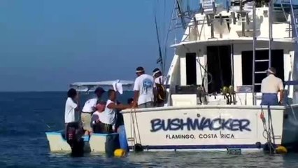 Marlin University Costa Rica 2011