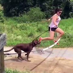 مزاحیہ خاکے آپ ھنسے بغیر نہیں رہ سکتے Funny videos having lot of fun