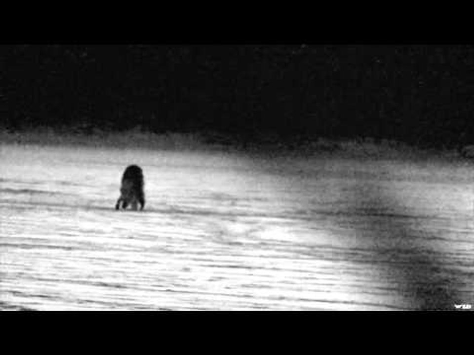 Relentless Pursuit  - Im Over Here