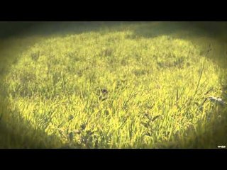 Outdoor Edge Love of the Hunt  - Turtles and Groundhogs