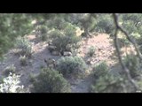 Outdoor Edge Love of the Hunt  - New Mexico Part 1