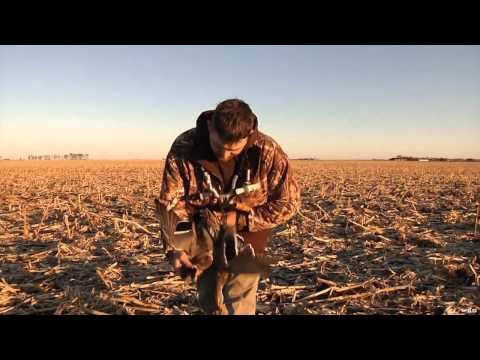 The Fowl Life - North Dakota Green Heads