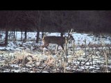 Heartland Bowhunter TV - Scott White