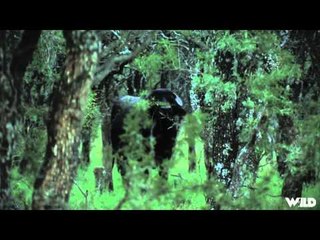 Extreme Outer Limits TV - Argentina Safari Conclusion for Team EOL