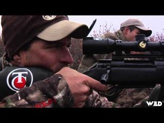 Noslers Magnum TV  - Stone Mountain Moose Part 2