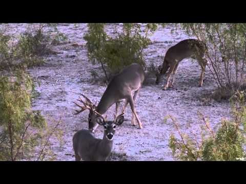Cabelas Ultimate Adventures - Texas Archery