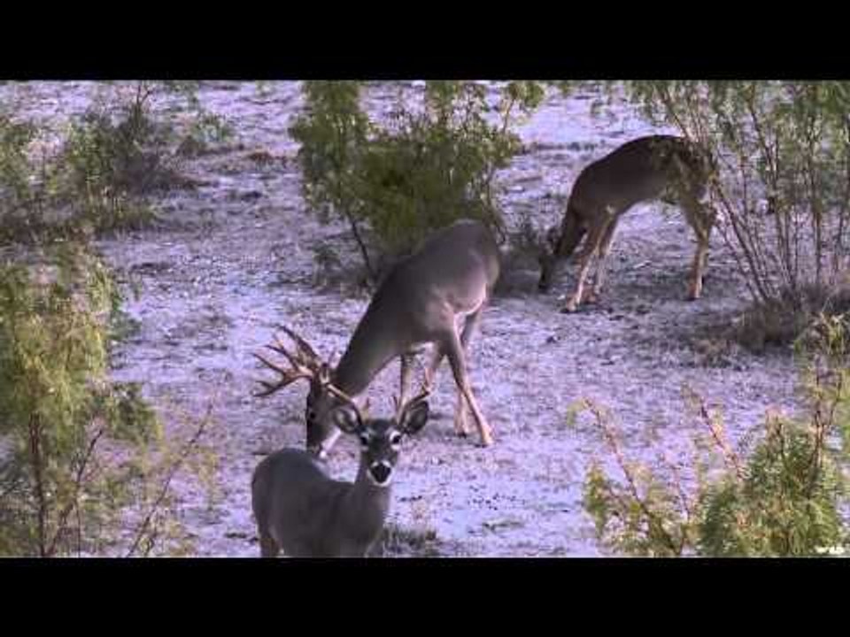 Cabelas Ultimate Adventures - Texas Archery