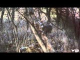 Primos  The Truth About Hunting - Team Primos Hunts Deer in Kansas