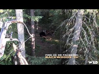 Excaliburs Huntin the Backwoods - Bear N It wat the Hilton