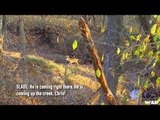 Primos  The Truth About Hunting - Team Primos Hunts Deer in Iowa