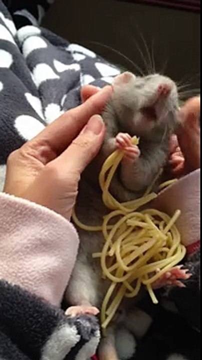 ADORABLE !