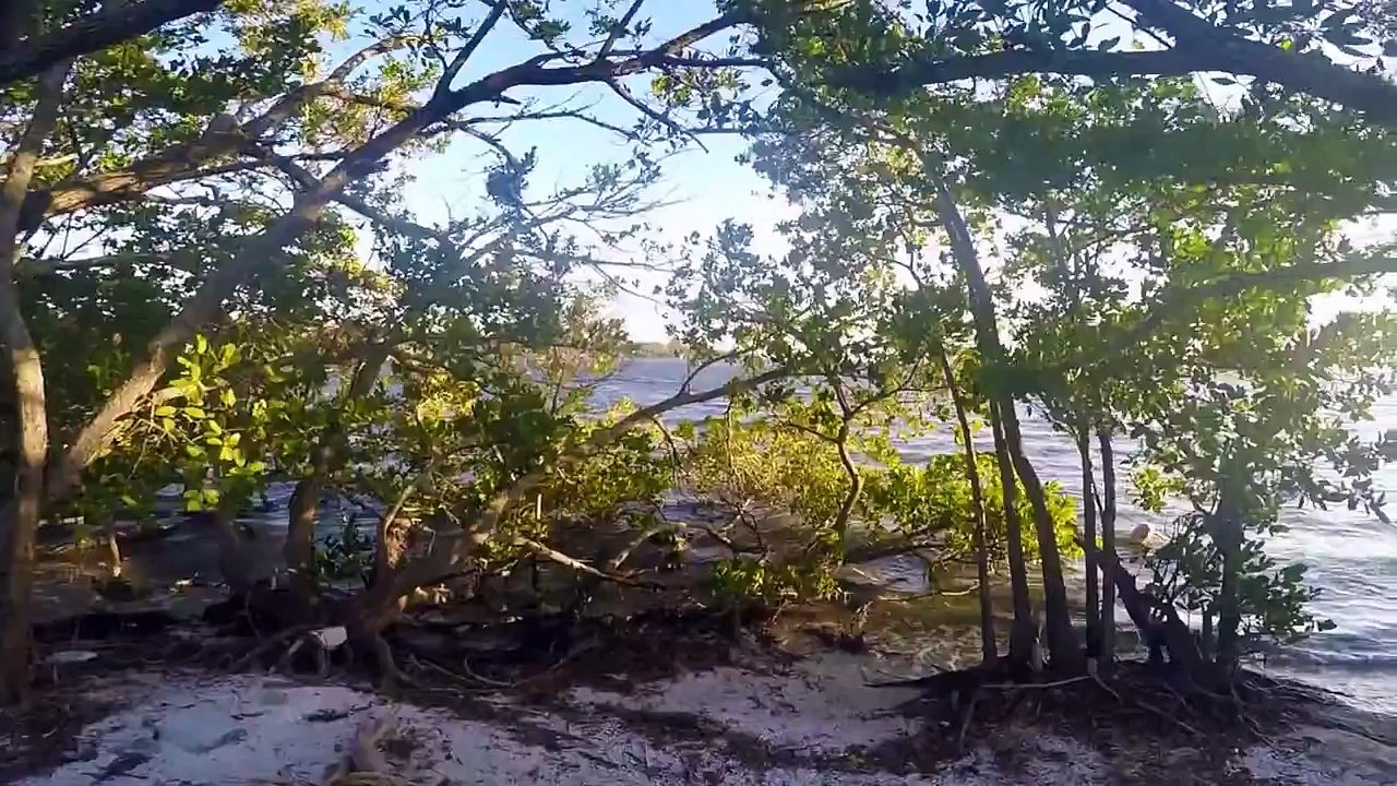 mermaid footage caught on private beach