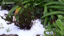 Hail storm hits St Ives in Cornwall, UK