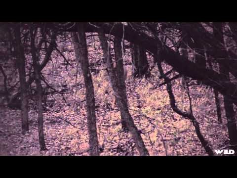 Heartland Bowhunter TV - Silo 2