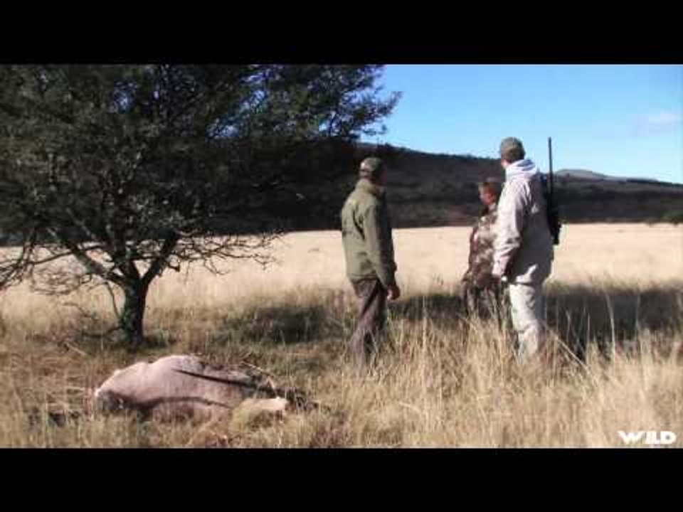Extreme Outer Limits TV - Long Range Wildebeest Kudu and Gemsbok in South Africa